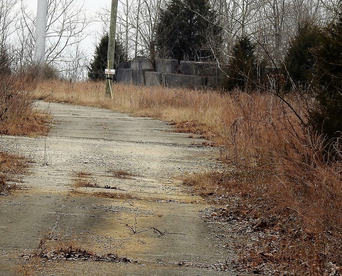 Finding the ‘golden&nbsp;fleece’